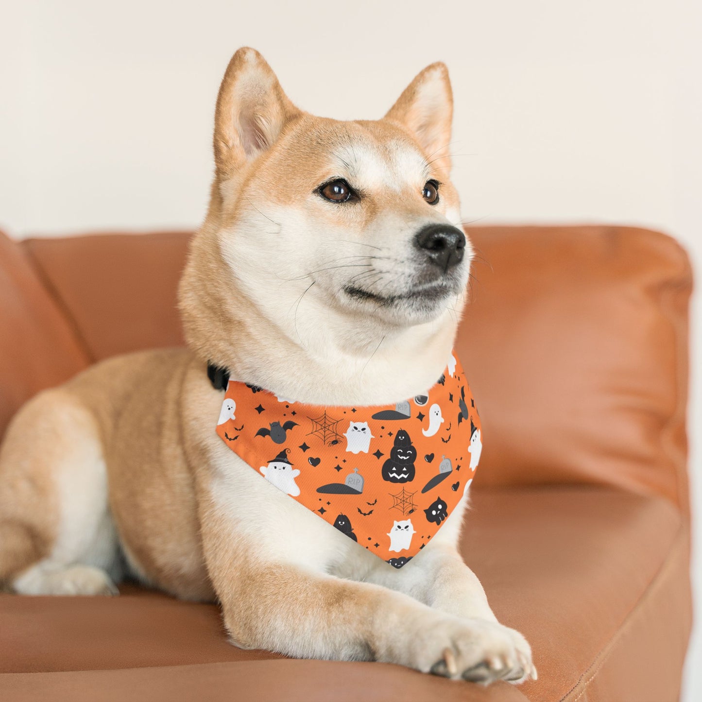 Halloween Pet Bandana Collar, Cute Dog Accessories, Cat Bandana, Trick or Treat Outfit, Spooky Pet Fashion, Fall Pet Gear