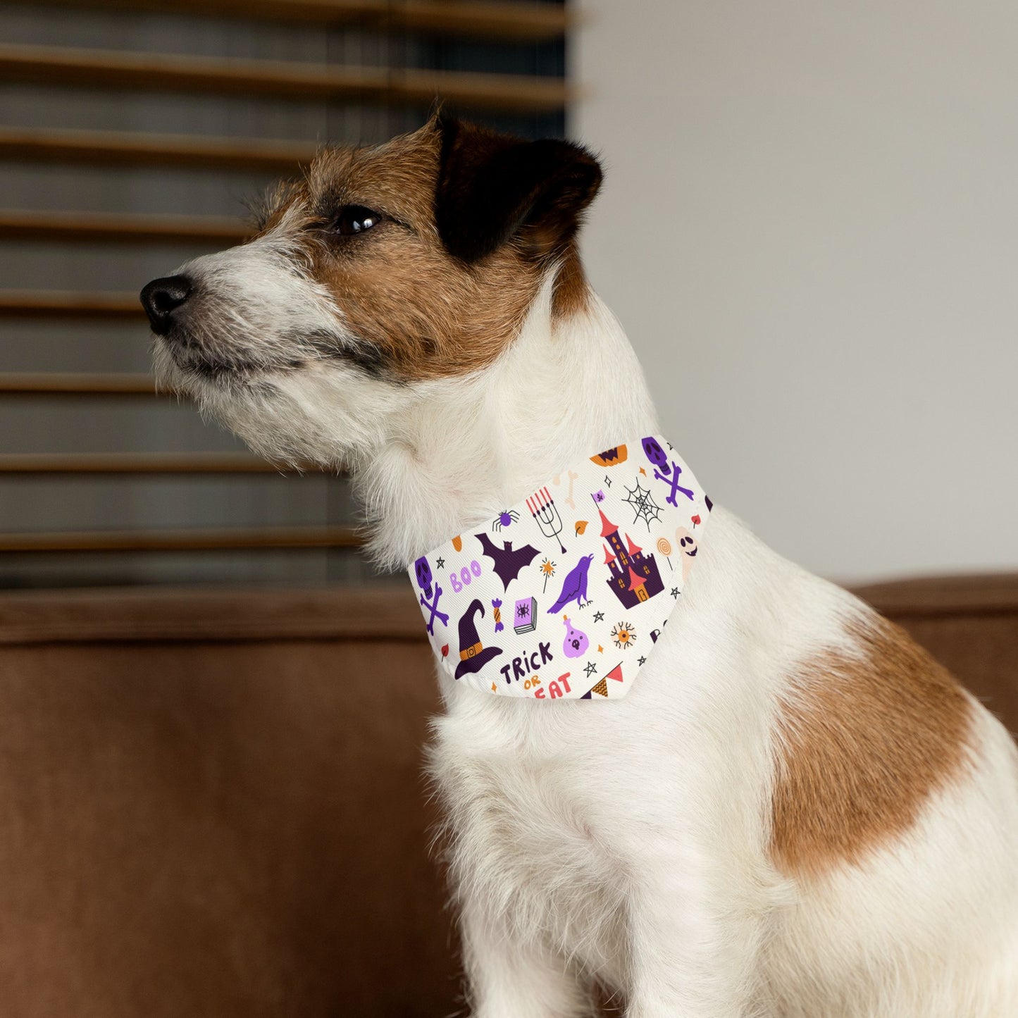 Festive Pet Bandana Collar for Halloween, Trick or Treat Dog Accessory, Cute Pets Holiday Gear, Spooky Costume for Dogs