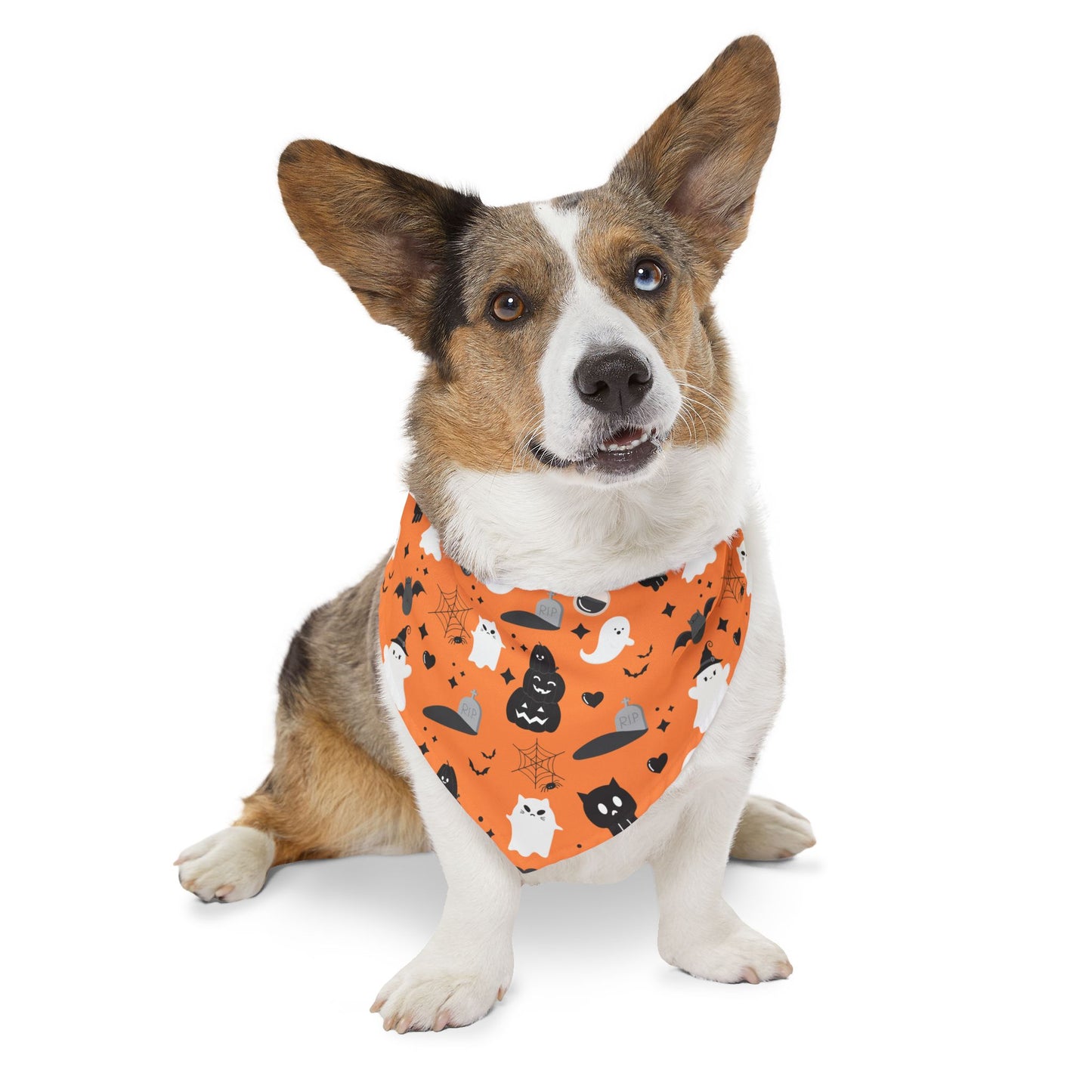 Halloween Pet Bandana Collar, Cute Dog Accessories, Cat Bandana, Trick or Treat Outfit, Spooky Pet Fashion, Fall Pet Gear